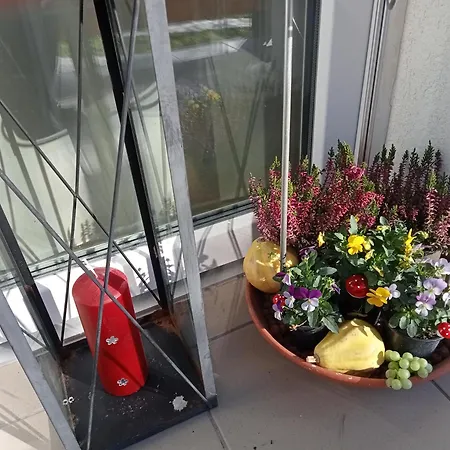 Cinege Appartement Felsopahok