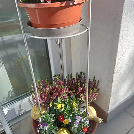 Cinege Appartement Felsopahok